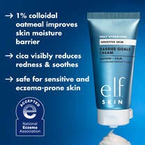 Holy Hydration! Skin Barrier Goal Cream Details